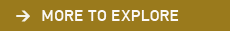 more to explore